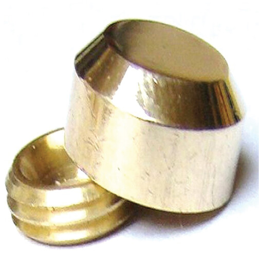 Cache-vis finition laiton - 2 pièces diamètre 21 mm